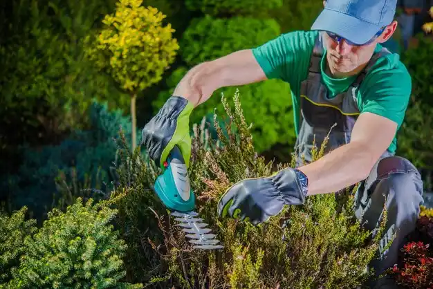 landscaping services Ellisville